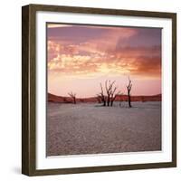 Dead Valley in Namibia at Dark-Andrushko Galyna-Framed Photographic Print