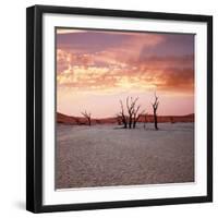 Dead Valley in Namibia at Dark-Andrushko Galyna-Framed Photographic Print