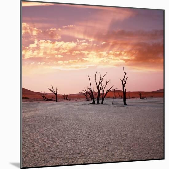 Dead Valley in Namibia at Dark-Andrushko Galyna-Mounted Photographic Print