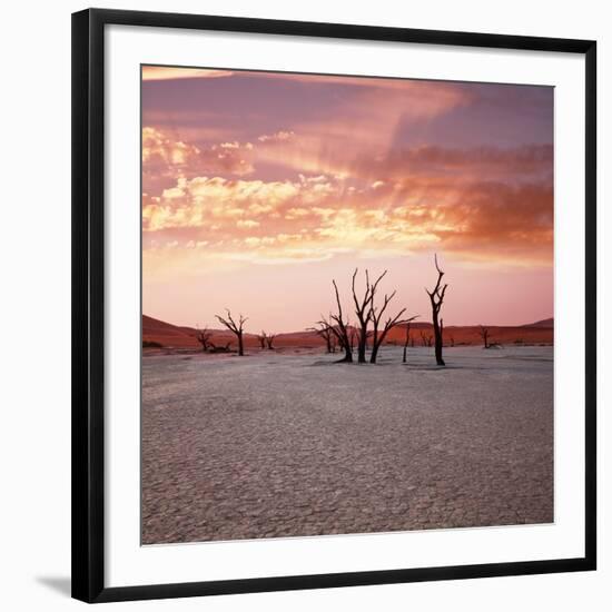 Dead Valley in Namibia at Dark-Andrushko Galyna-Framed Photographic Print