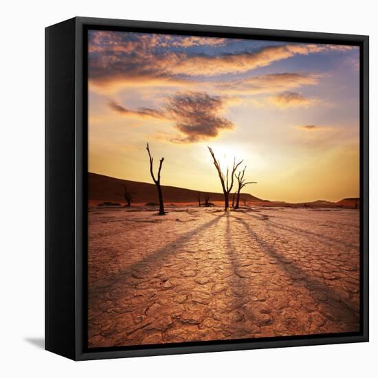 Dead Valley in Namibia-Andrushko Galyna-Framed Stretched Canvas