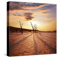 Dead Valley in Namibia-Andrushko Galyna-Stretched Canvas