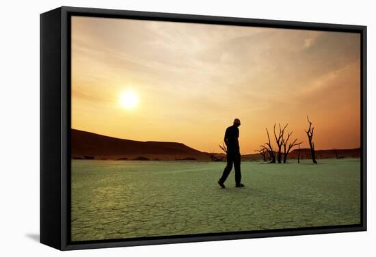 Dead Valley in Namibia-Andrushko Galyna-Framed Stretched Canvas