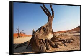 Dead Valley in Namibia-Andrushko Galyna-Framed Stretched Canvas