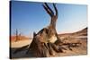 Dead Valley in Namibia-Andrushko Galyna-Stretched Canvas