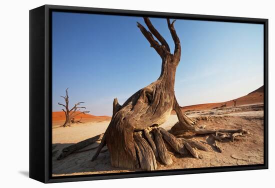 Dead Valley in Namibia-Andrushko Galyna-Framed Stretched Canvas