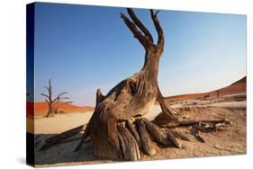 Dead Valley in Namibia-Andrushko Galyna-Stretched Canvas