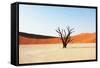 Dead Valley in Namibia-Andrushko Galyna-Framed Stretched Canvas