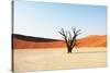 Dead Valley in Namibia-Andrushko Galyna-Stretched Canvas