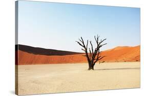 Dead Valley in Namibia-Andrushko Galyna-Stretched Canvas