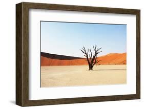 Dead Valley in Namibia-Andrushko Galyna-Framed Premium Photographic Print