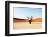 Dead Valley in Namibia-Andrushko Galyna-Framed Premium Photographic Print