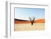 Dead Valley in Namibia-Andrushko Galyna-Framed Premium Photographic Print