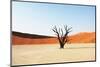 Dead Valley in Namibia-Andrushko Galyna-Mounted Premium Photographic Print