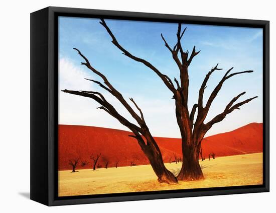 Dead Valley in Namibia-Andrushko Galyna-Framed Stretched Canvas