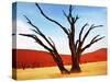 Dead Valley in Namibia-Andrushko Galyna-Stretched Canvas