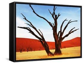 Dead Valley in Namibia-Andrushko Galyna-Framed Stretched Canvas