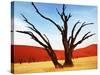 Dead Valley in Namibia-Andrushko Galyna-Stretched Canvas