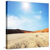 Dead Valley in Namibia-Andrushko Galyna-Stretched Canvas