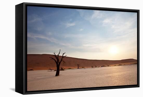 Dead Valley in Namibia-Andrushko Galyna-Framed Stretched Canvas