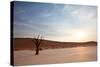 Dead Valley in Namibia-Andrushko Galyna-Stretched Canvas