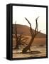 Dead Valley in Namibia-Andrushko Galyna-Framed Stretched Canvas