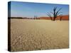 Dead Valley in Namibia-Andrushko Galyna-Stretched Canvas