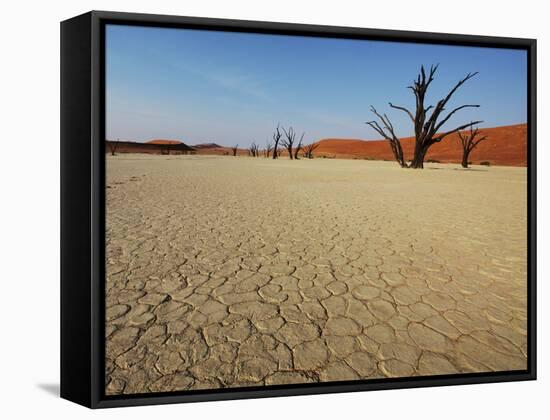 Dead Valley in Namibia-Andrushko Galyna-Framed Stretched Canvas