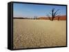 Dead Valley in Namibia-Andrushko Galyna-Framed Stretched Canvas