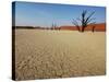 Dead Valley in Namibia-Andrushko Galyna-Stretched Canvas