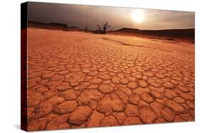 Dead Valley in Namibia-Andrushko Galyna-Stretched Canvas