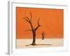 Dead Valley in Namibia-Andrushko Galyna-Framed Premium Photographic Print