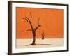 Dead Valley in Namibia-Andrushko Galyna-Framed Premium Photographic Print