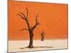 Dead Valley in Namibia-Andrushko Galyna-Mounted Premium Photographic Print