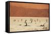 Dead Valley in Namibia-Andrushko Galyna-Framed Stretched Canvas