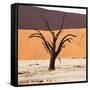 Dead Valley in Namibia-Andrushko Galyna-Framed Stretched Canvas