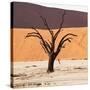 Dead Valley in Namibia-Andrushko Galyna-Stretched Canvas