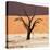 Dead Valley in Namibia-Andrushko Galyna-Stretched Canvas