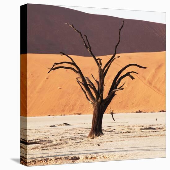 Dead Valley in Namibia-Andrushko Galyna-Stretched Canvas