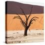 Dead Valley in Namibia-Andrushko Galyna-Stretched Canvas