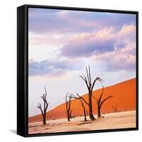 Dead Valley in Namibia-Andrushko Galyna-Framed Stretched Canvas