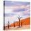 Dead Valley in Namibia-Andrushko Galyna-Stretched Canvas