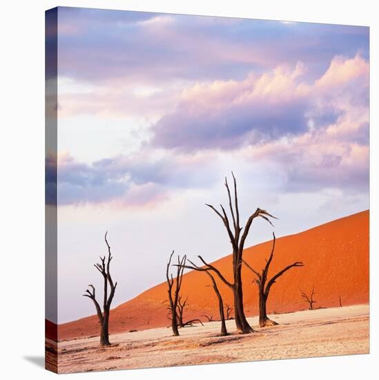 Dead Valley in Namibia-Andrushko Galyna-Stretched Canvas