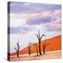 Dead Valley in Namibia-Andrushko Galyna-Stretched Canvas