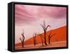 Dead Valley in Namibia-Andrushko Galyna-Framed Stretched Canvas