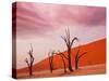 Dead Valley in Namibia-Andrushko Galyna-Stretched Canvas