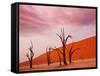 Dead Valley in Namibia-Andrushko Galyna-Framed Stretched Canvas