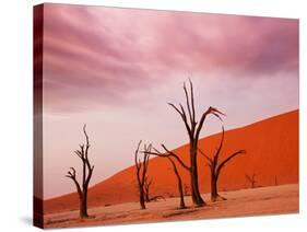 Dead Valley in Namibia-Andrushko Galyna-Stretched Canvas