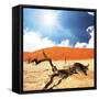 Dead Valley in Namibia-Andrushko Galyna-Framed Stretched Canvas