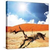 Dead Valley in Namibia-Andrushko Galyna-Stretched Canvas